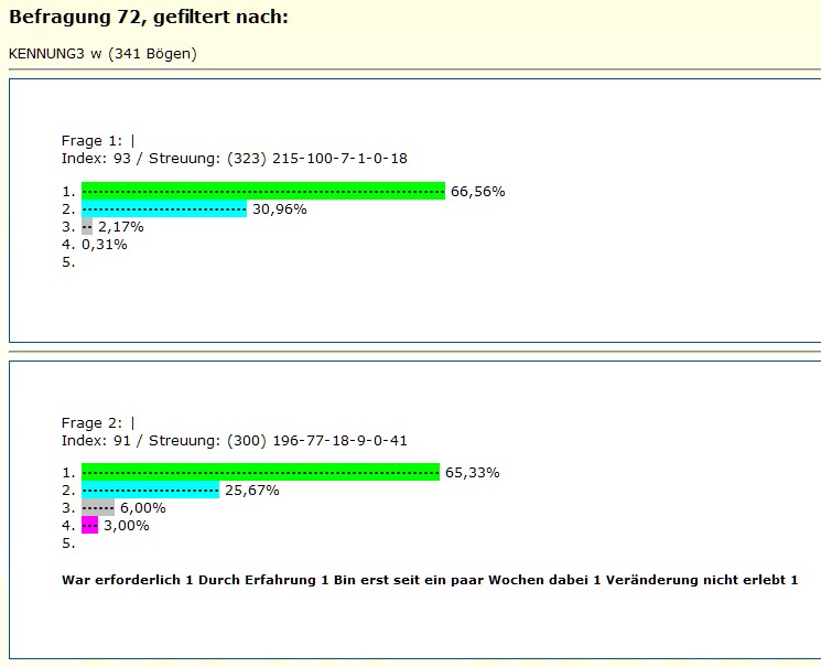 Beispiel für Ergebnisdarstellung einer schnellen Auswertung